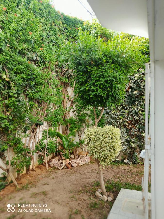 Etage De Villa Avec Jardin, Pres De L'Aireport Et Parking Prive Ariana Ngoại thất bức ảnh
