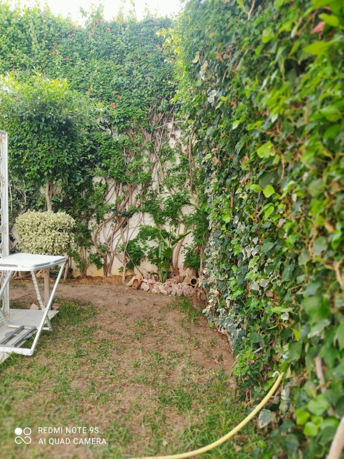 Etage De Villa Avec Jardin, Pres De L'Aireport Et Parking Prive Ariana Ngoại thất bức ảnh