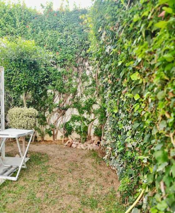 Etage De Villa Avec Jardin, Pres De L'Aireport Et Parking Prive Ariana Ngoại thất bức ảnh