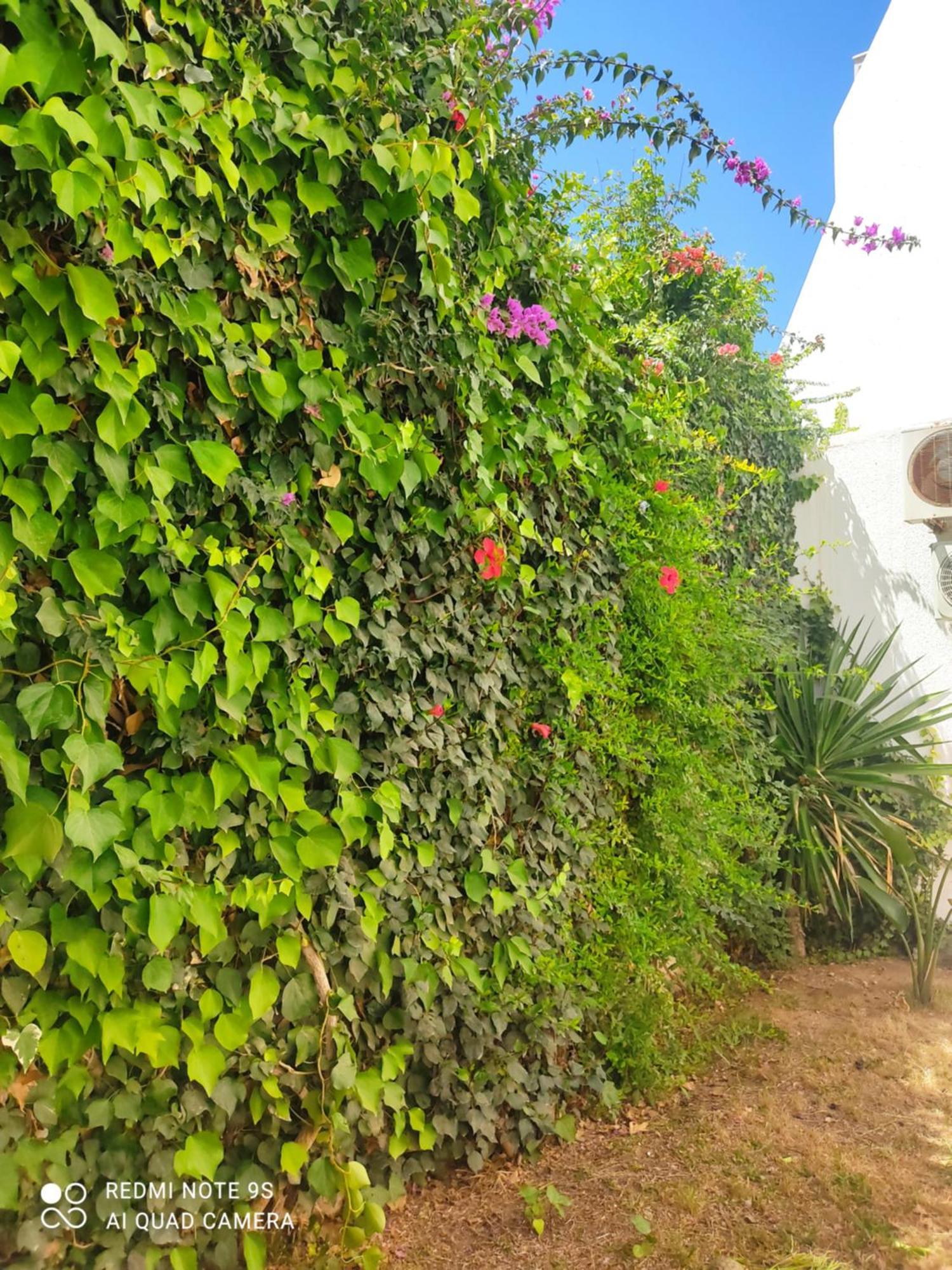 Etage De Villa Avec Jardin, Pres De L'Aireport Et Parking Prive Ariana Ngoại thất bức ảnh