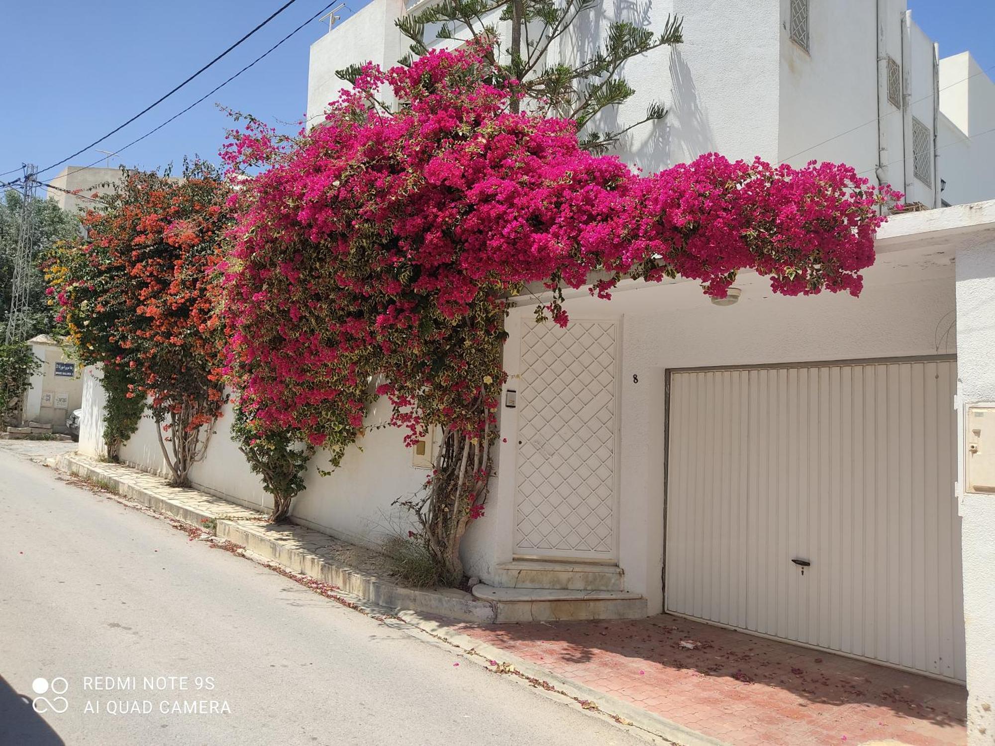 Etage De Villa Avec Jardin, Pres De L'Aireport Et Parking Prive Ariana Ngoại thất bức ảnh